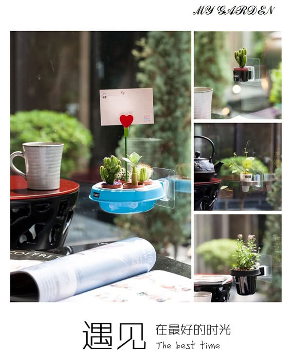 療癒植物容器 壁貼式 多肉精靈系列盆栽架 1吋 4孔 2入組 Dy524 Momo購物網 療癒植物容器 壁貼式 多肉精靈系列盆栽架 1吋 4孔 2入組 Dy524 Momo購物網