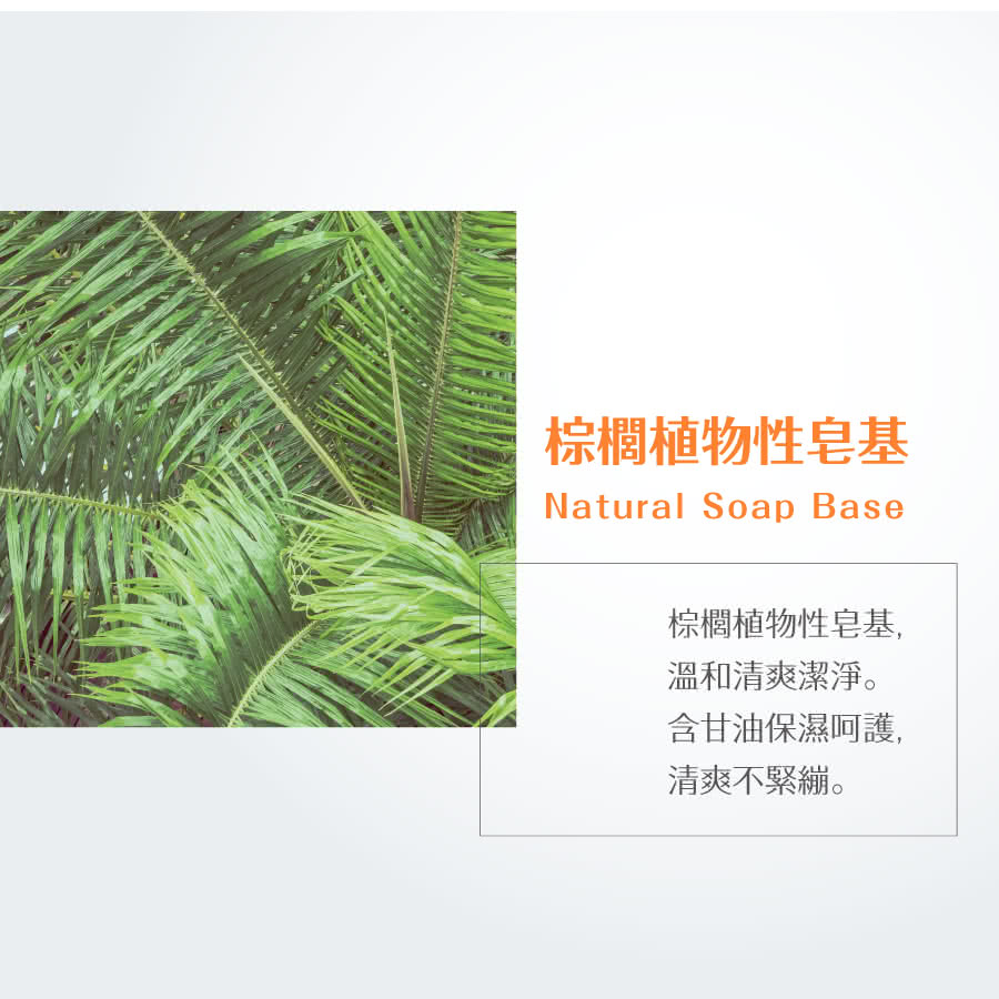 棕櫚植物性皂基 棕櫚植物性皂基, 溫和清爽潔淨。 含甘油保濕呵護, 清爽不緊繃。 