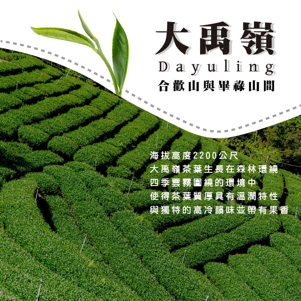 與獨特的高冷韻味並帶有果香