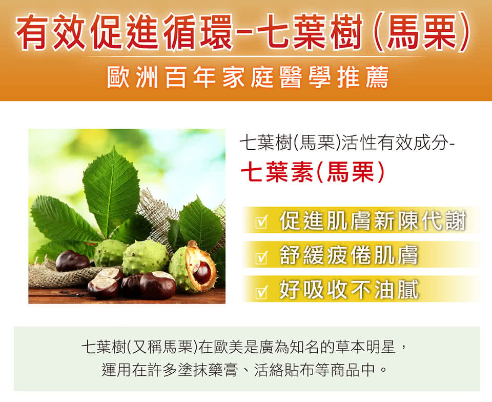 七葉樹又稱馬栗在歐美是廣為知名的草本明星,