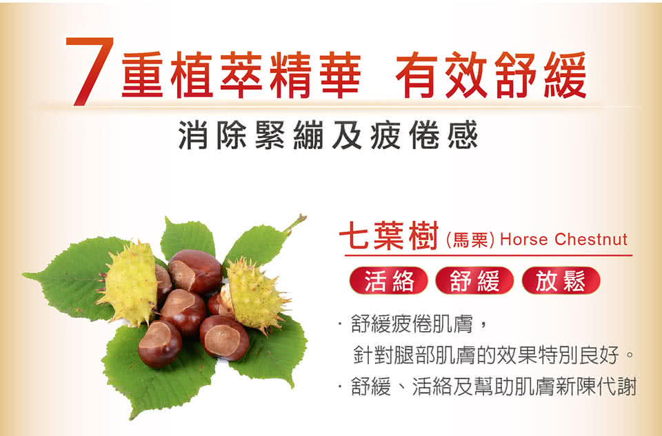 七葉樹 馬栗 Horse Chestnut
