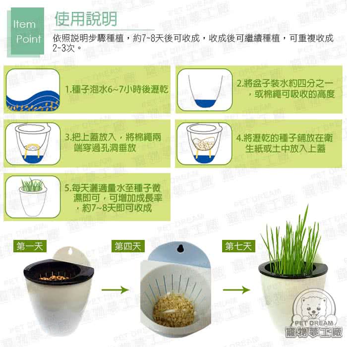 寵物夢工廠 買一送一 貓草種子組合紓壓著色植栽組內含澳洲進口貓草種子 懶人水耕盆栽吊掛盆栽 Momo購物網