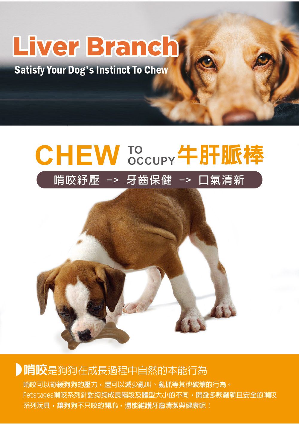 Petstages 牛肝脈棒 M 堅固耐咬適合中型犬 Momo購物網 雙11優惠推薦 22年11月