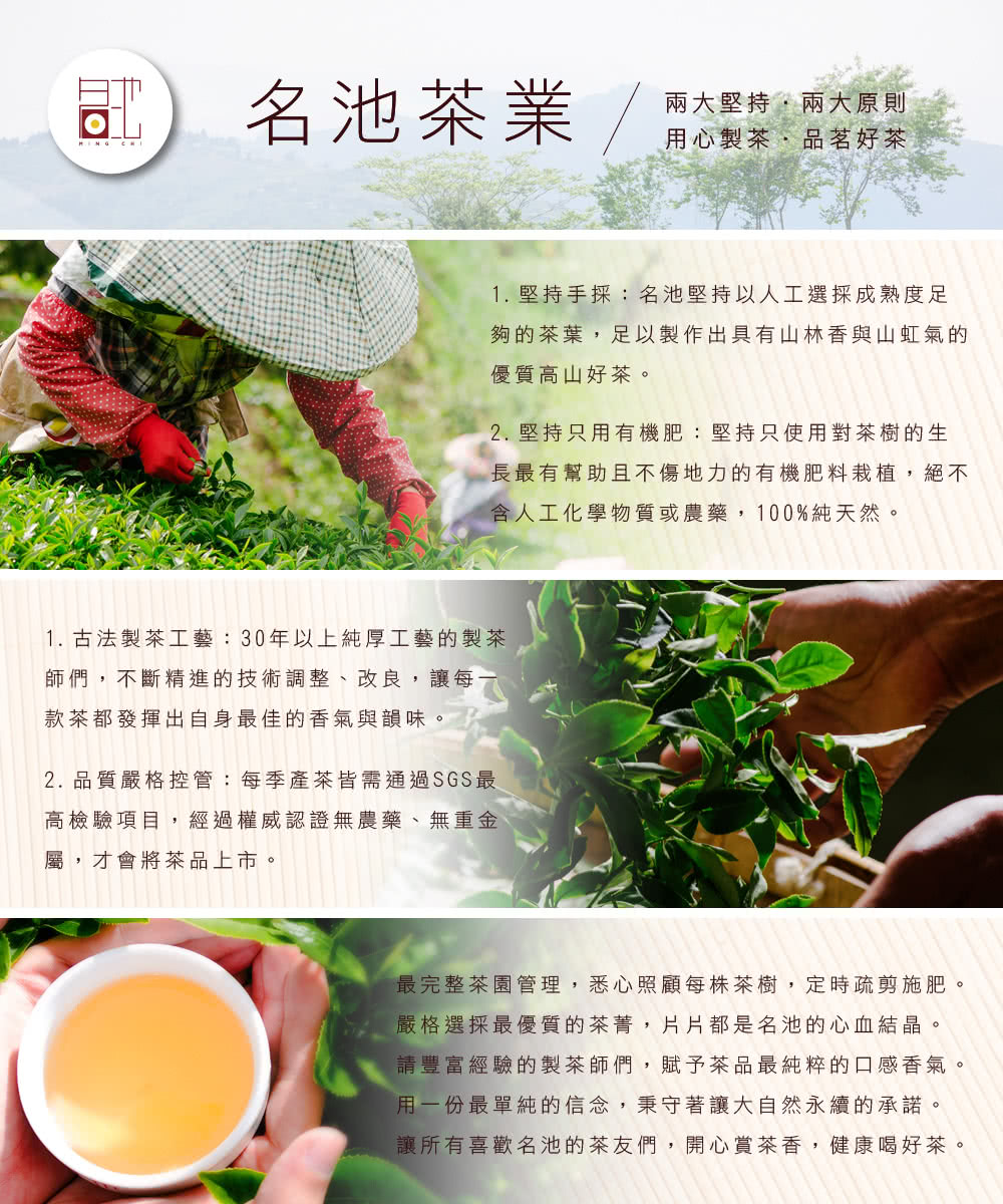 最完整茶園管理,悉心照顧每株茶樹,定時疏剪施肥。