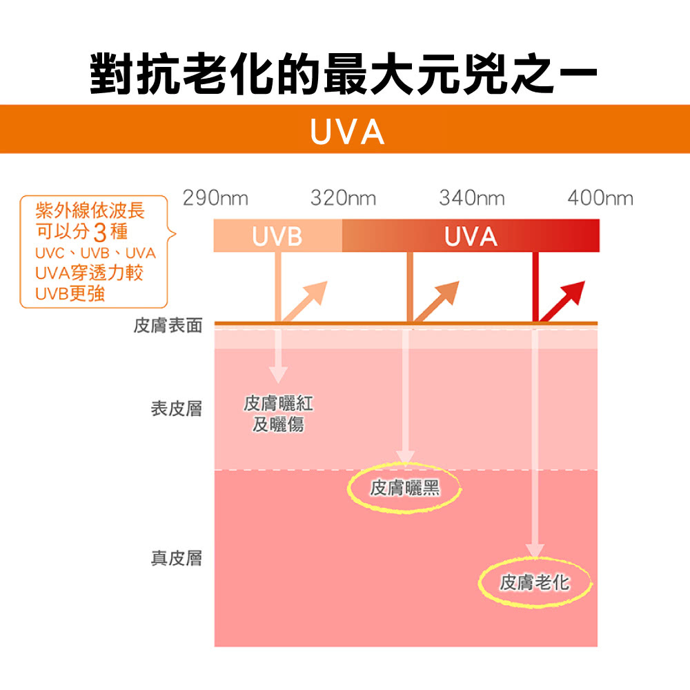 對抗老化的最大元兇之一