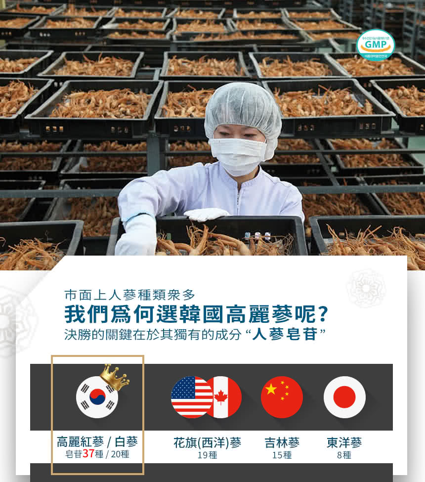 決勝的關鍵在於其獨有的成分人蔘皂苷