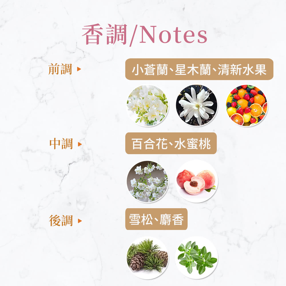 小蒼蘭、星木蘭、清新水果