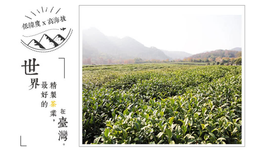 低緯度x高海拔 界最精 好製 狂臺灣, 