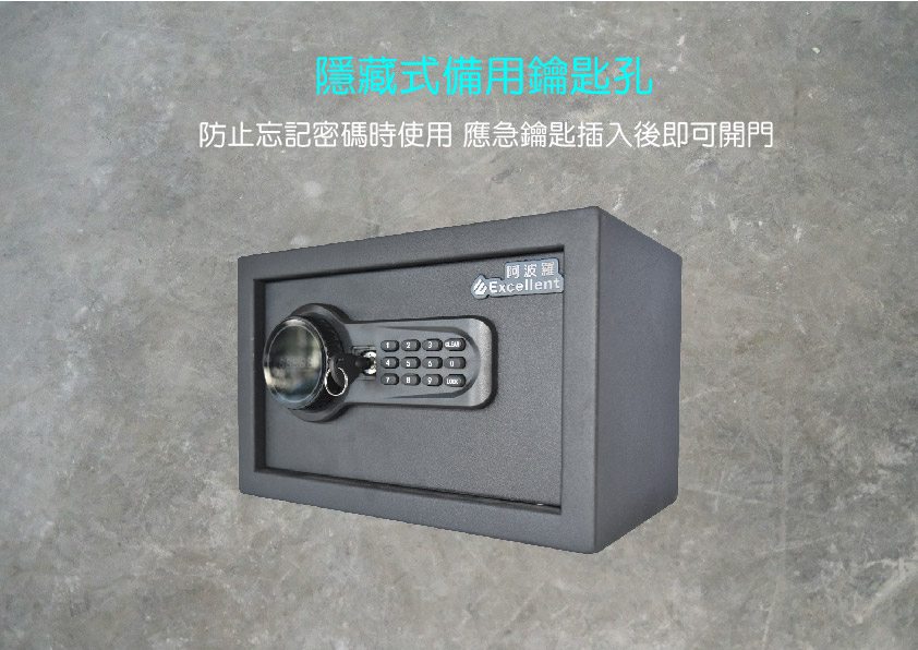 Excellent阿波羅 25SAV - 詳情9