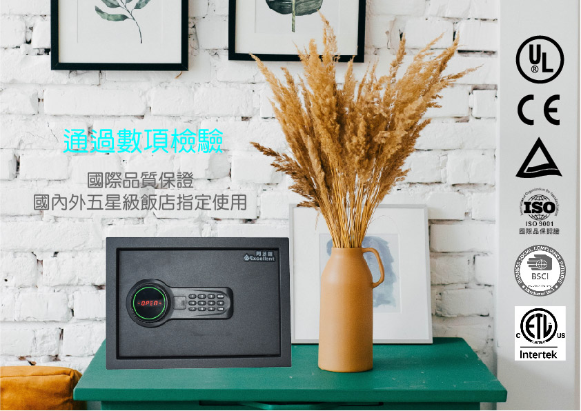 Excellent阿波羅 25SAV - 詳情12