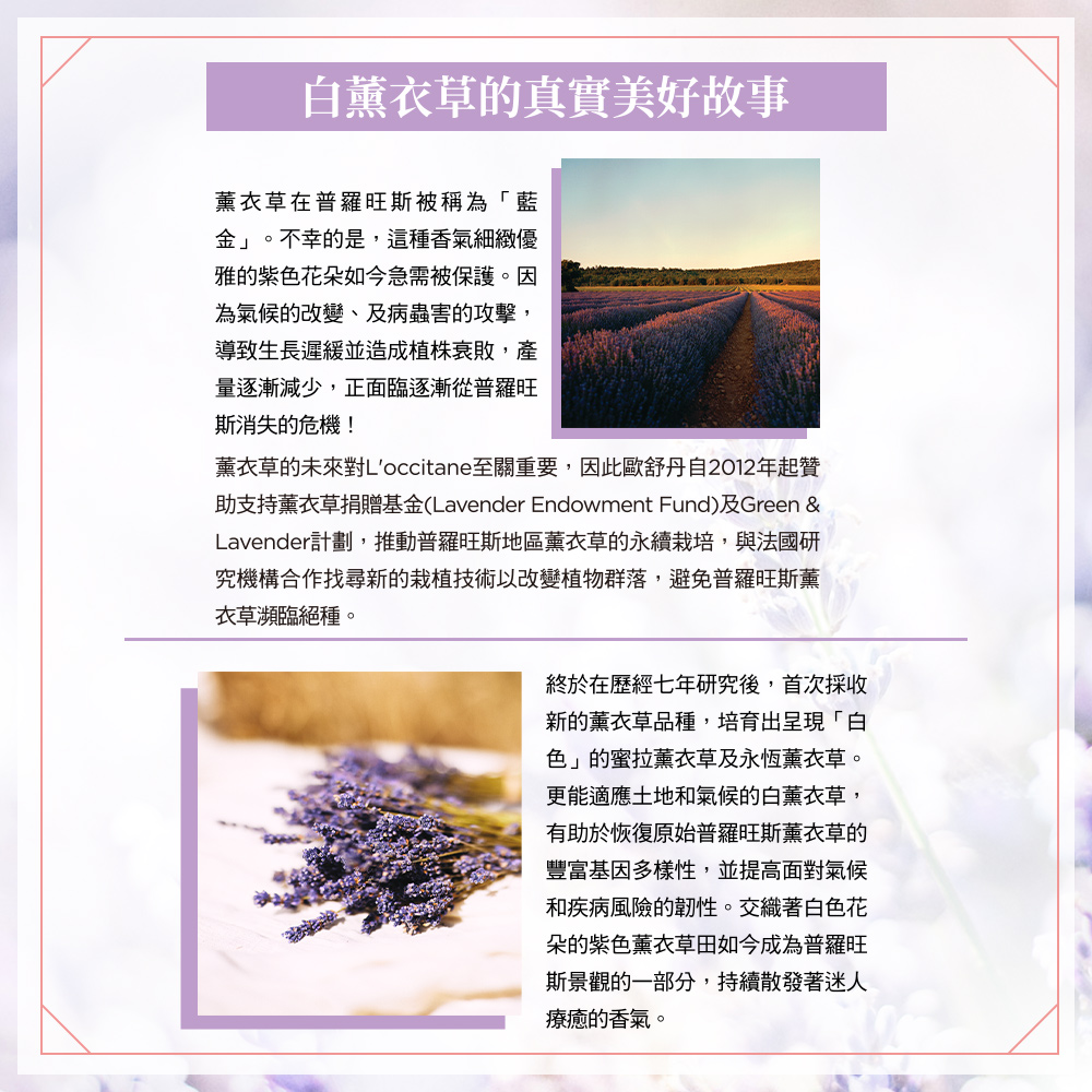 助支持薰衣草捐贈基金Lavender Endowment Fund及Green