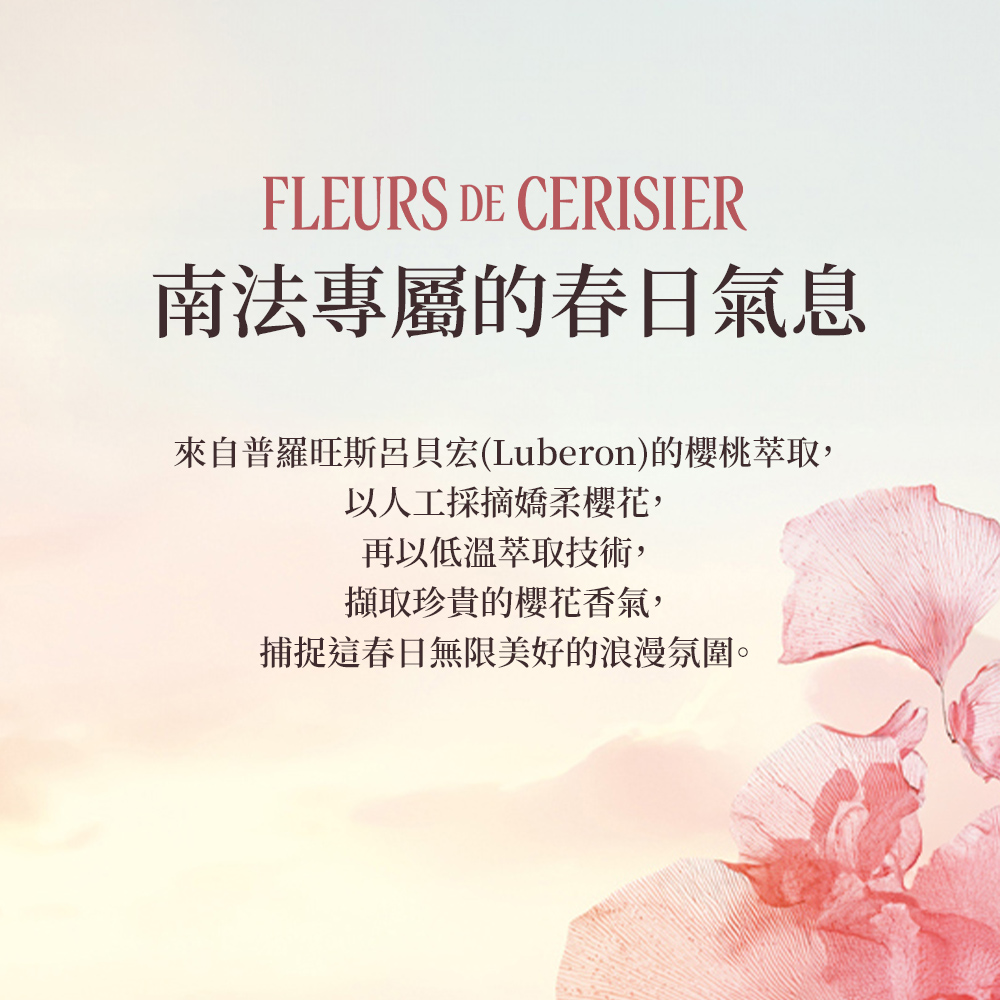 來自普羅旺斯呂貝宏Luberon的櫻桃萃取,