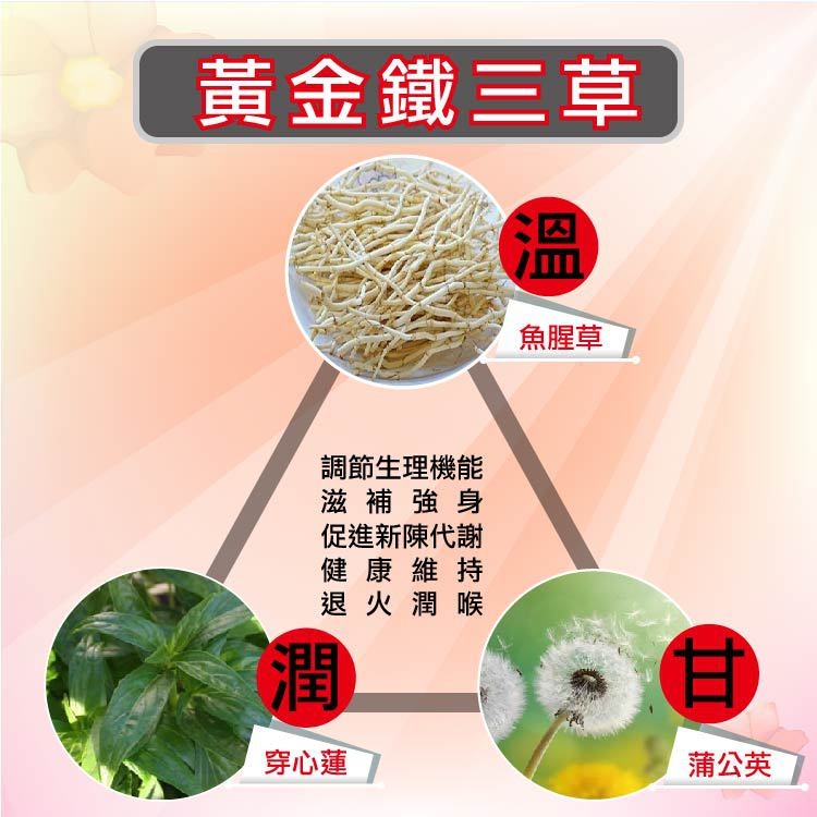 【湧鵬生技】魚腥草穿心蓮蒲公英素食膠囊3入組(魚腥草 穿心蓮 蒲公英 60顆/盒 共180顆)