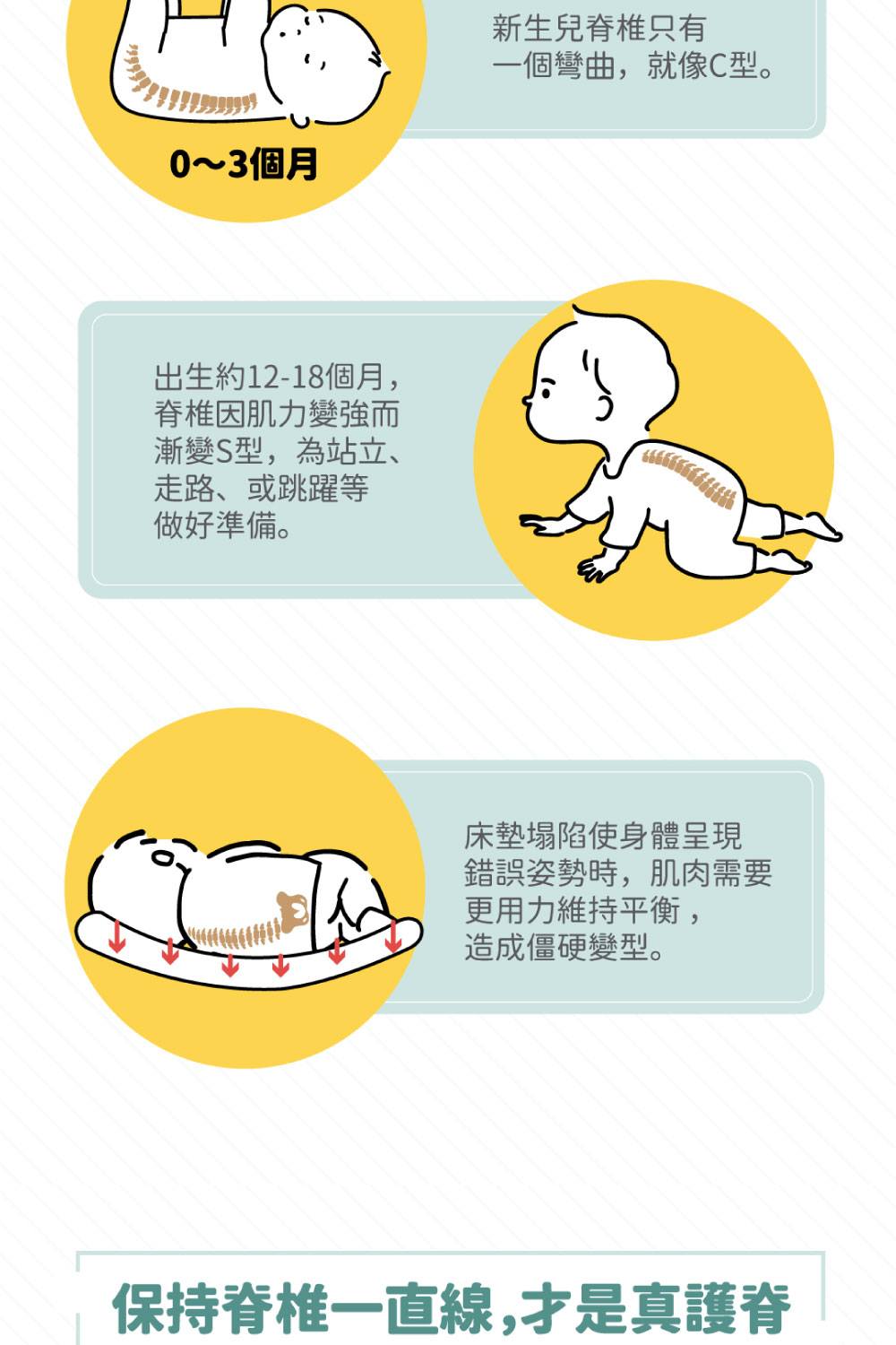 出生約1218個月,