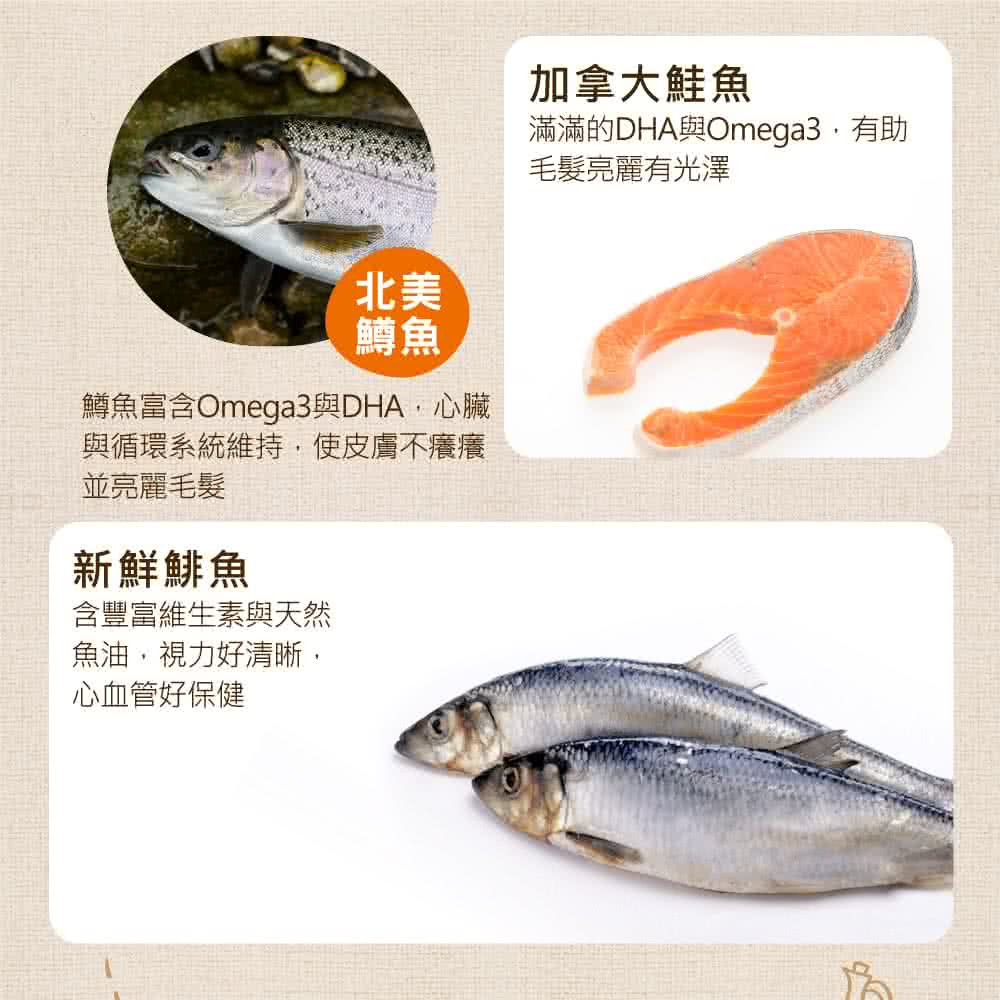 Now 鮮魚無穀天然糧小型犬配方3 5磅 狗飼料鮭魚鱒魚鯡魚 Momo購物網