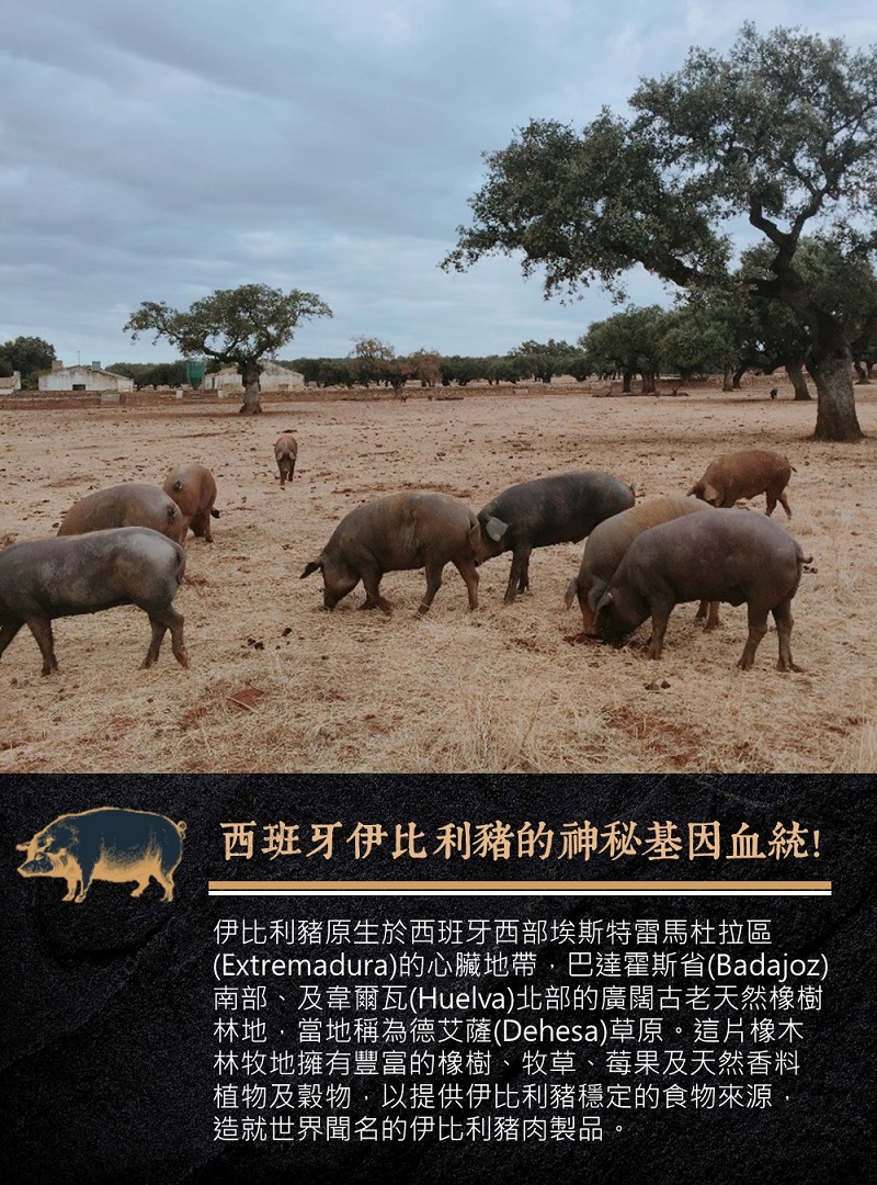 Extremadura的心臟地帶,巴達霍斯省Badajoz