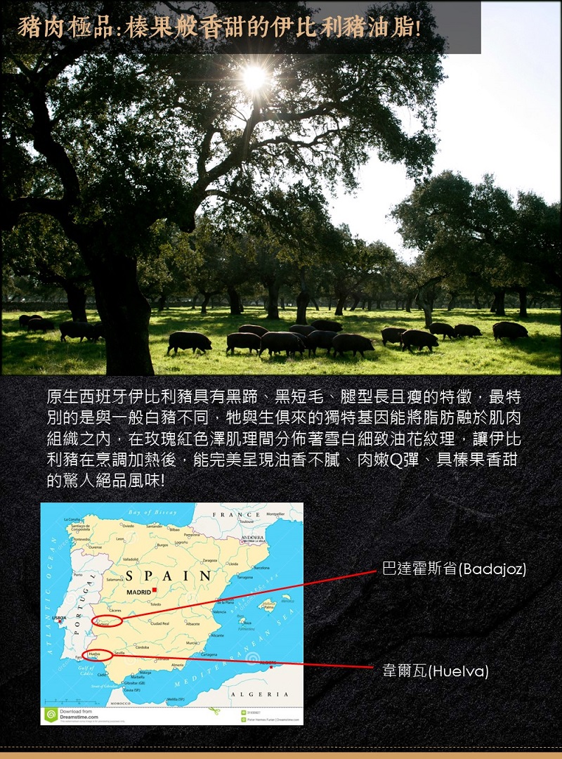 原生西班牙伊比利豬具有黑蹄、黑短毛、腿型長且瘦的特徵,最特