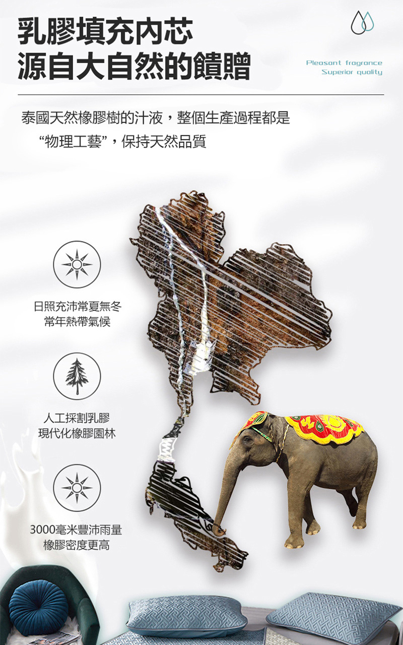 泰國天然橡膠樹的汁液,整個生產過程都是