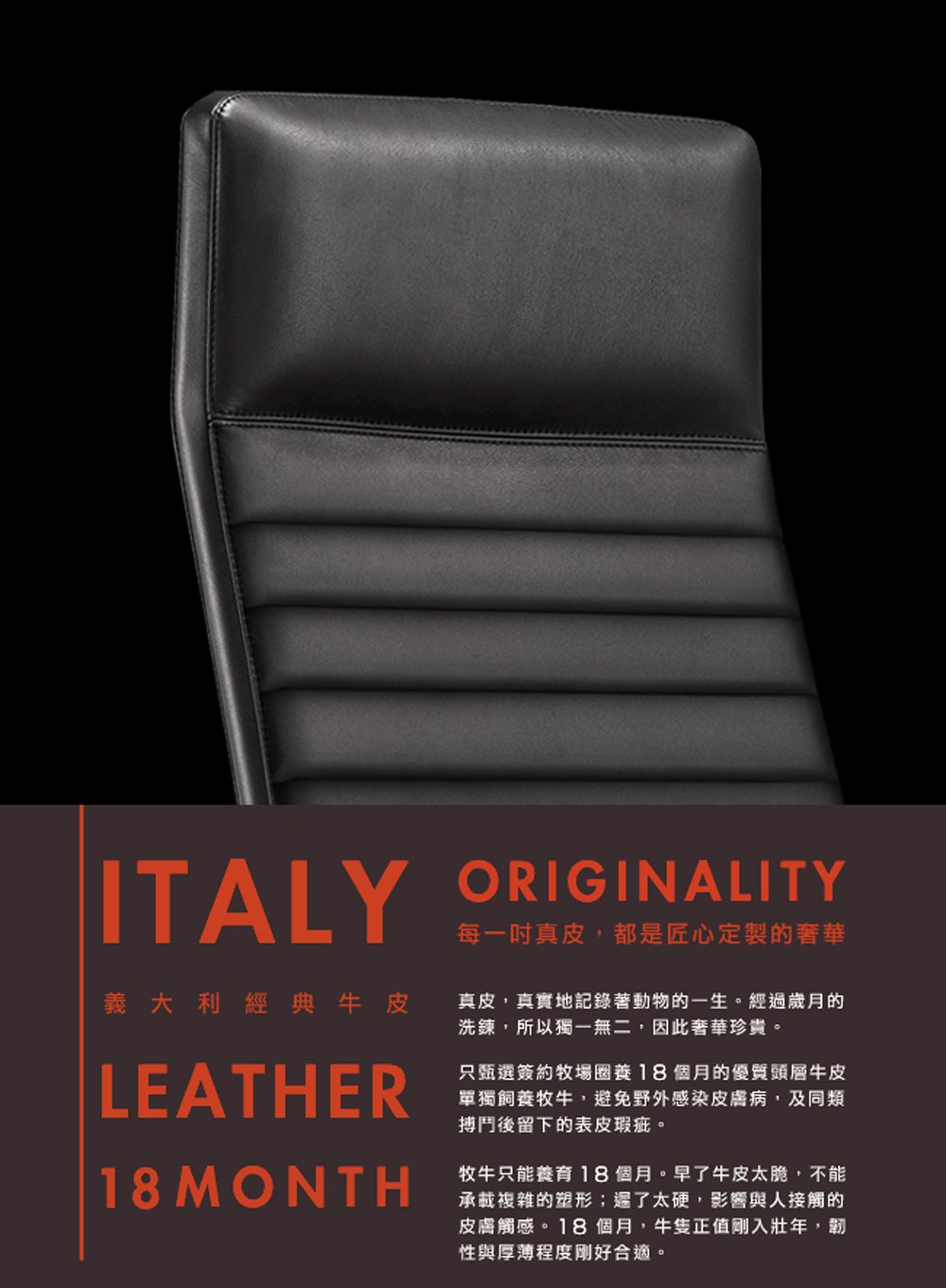 牧牛只能養育 18個月。早了牛皮太脆,不能