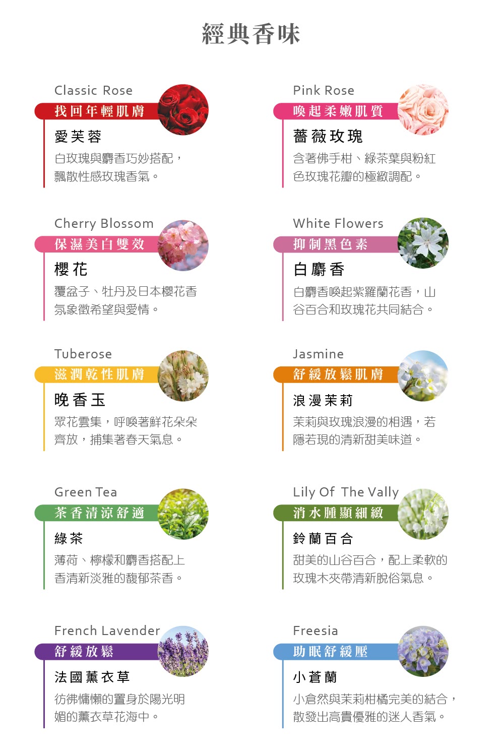 å°åç¶èèèææ©å®ç¾ççµå,