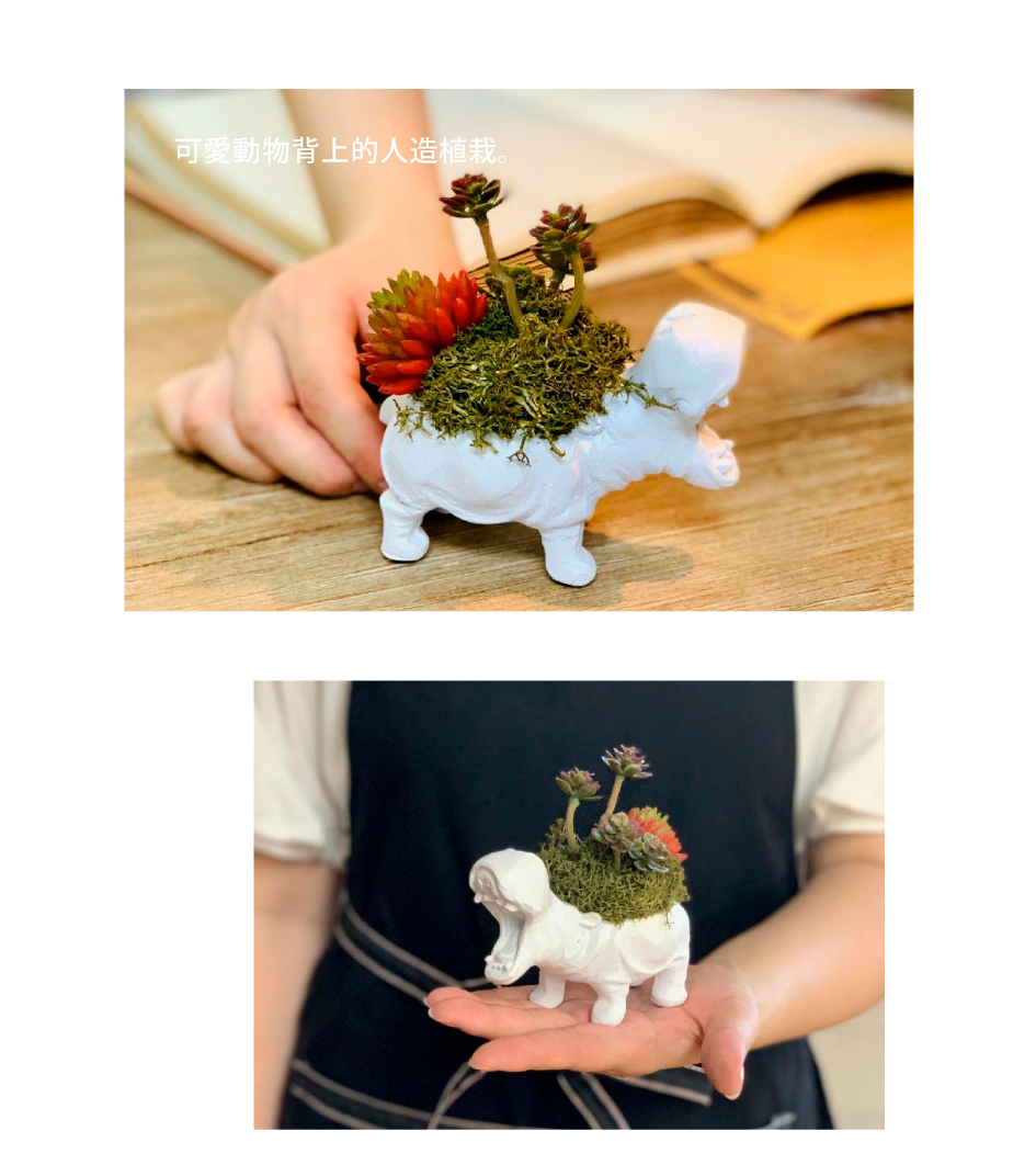 可愛動物背上的人造植栽。 