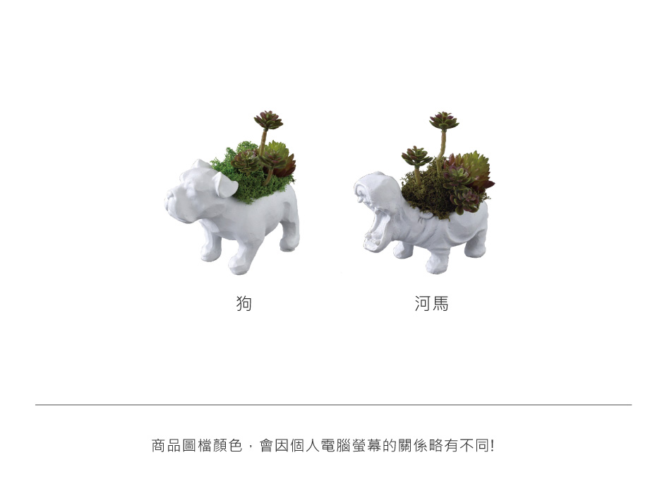 河馬 商品圖檔顏色,會因個人電腦螢幕的關係略有不同 