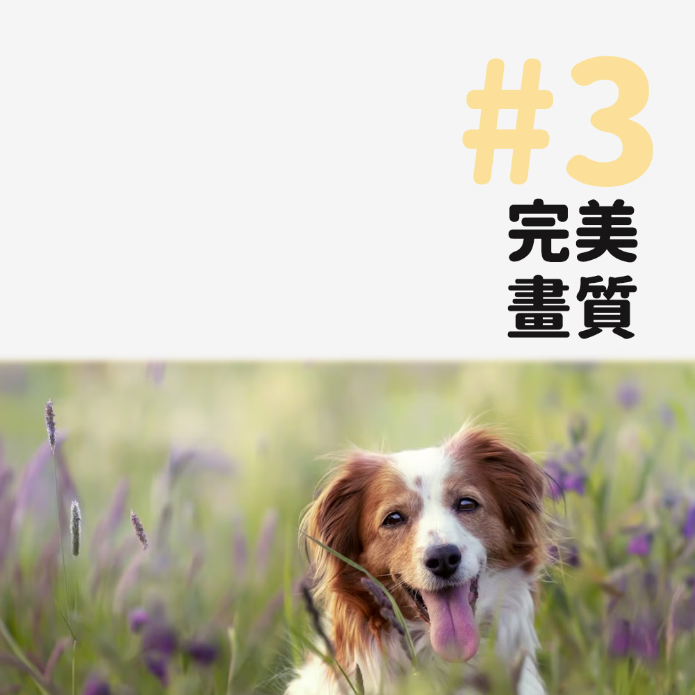 myFirst Camera 2 - 詳情9