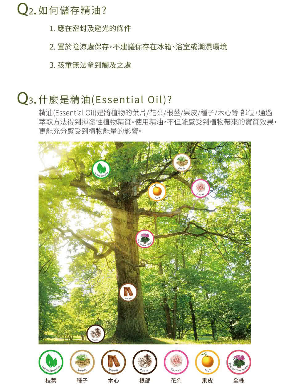 Bonnie House舒活精油凝乳1111超級限定 Momo購物網