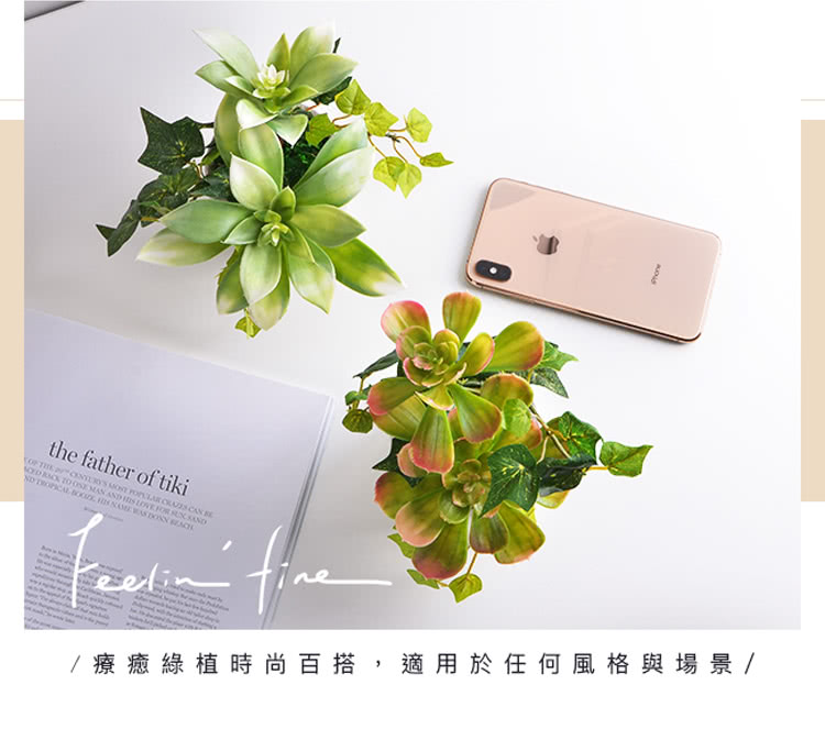 ççç¶ æ¤æå°ç¾æ­,é©ç¨æ¼ä»»ä½é¢¨æ ¼èå ´æ¯ 
