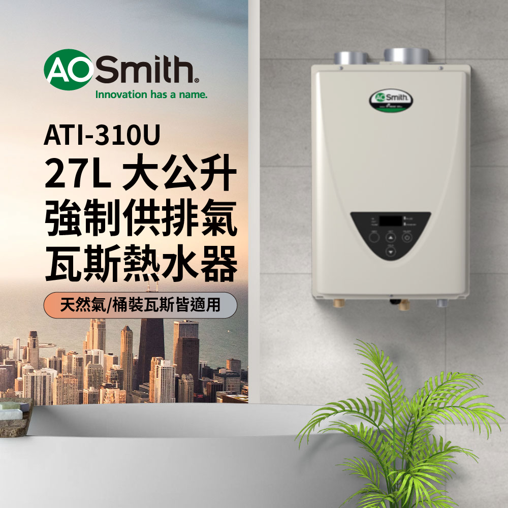 AOSmith史密斯 ATI-310U - 詳情2