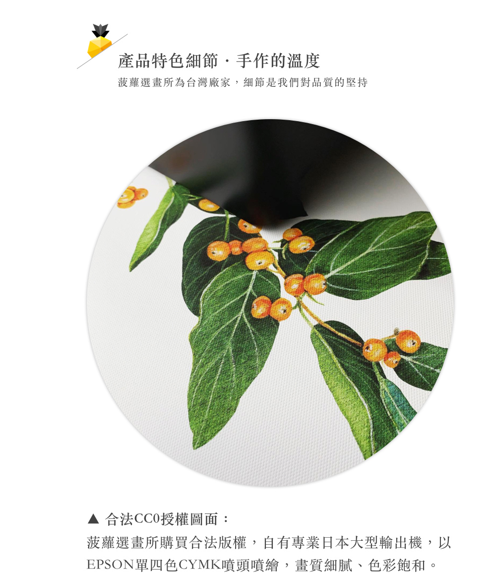 ç¢åç¹è²ç´°ç¯,æä½çæº«åº¦ è è¿é¸ç«æçºå°ç£å» å®¶,ç´°ç¯æ¯æåå°åè³ªçå æ åæ³CCOææ¬åé¢ è è¿é¸ç«æè³¼è²·åæ³çæ¬,èªæå°æ¥­æ¥æ¬å¤§åè¼¸åºæ©,ä»¥ EPSONå®åè²CYMKå´é ­å´ç¹ª,ç«è³ªç´°è©ãè²å½©é£½åã 