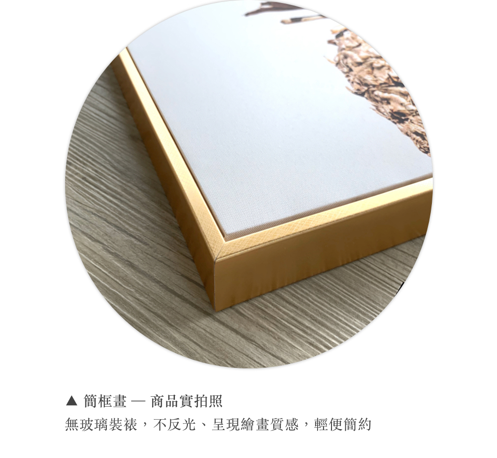ç°¡æ¡ç«ä¸ååå¯¦æç§ ç¡ç»çè£è£±,ä¸ååãåç¾ç¹ªç«è³ªæ,è¼ä¾¿ç°¡ç´ 