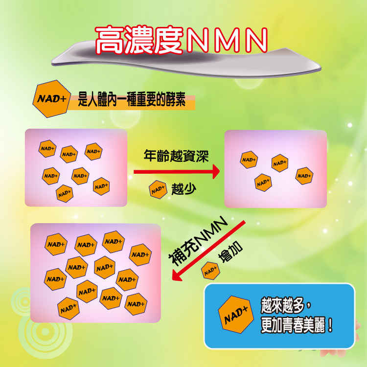 NAD是人體內一種重要的酵素