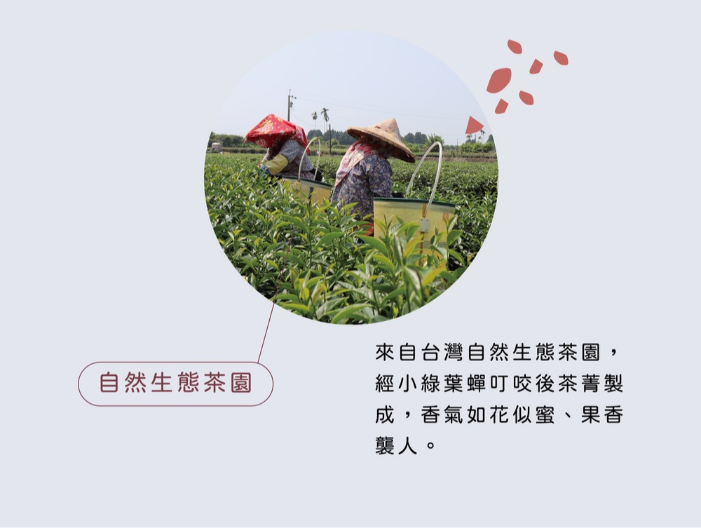 ä¾èªå°ç£èªç¶çæè¶å, èªç¶çæè¶å ç¶å°ç¶ èè¬å®å¬å¾è¶èè£½ æ,é¦æ°£å¦è±ä¼¼èãæé¦ è¥²äººã 