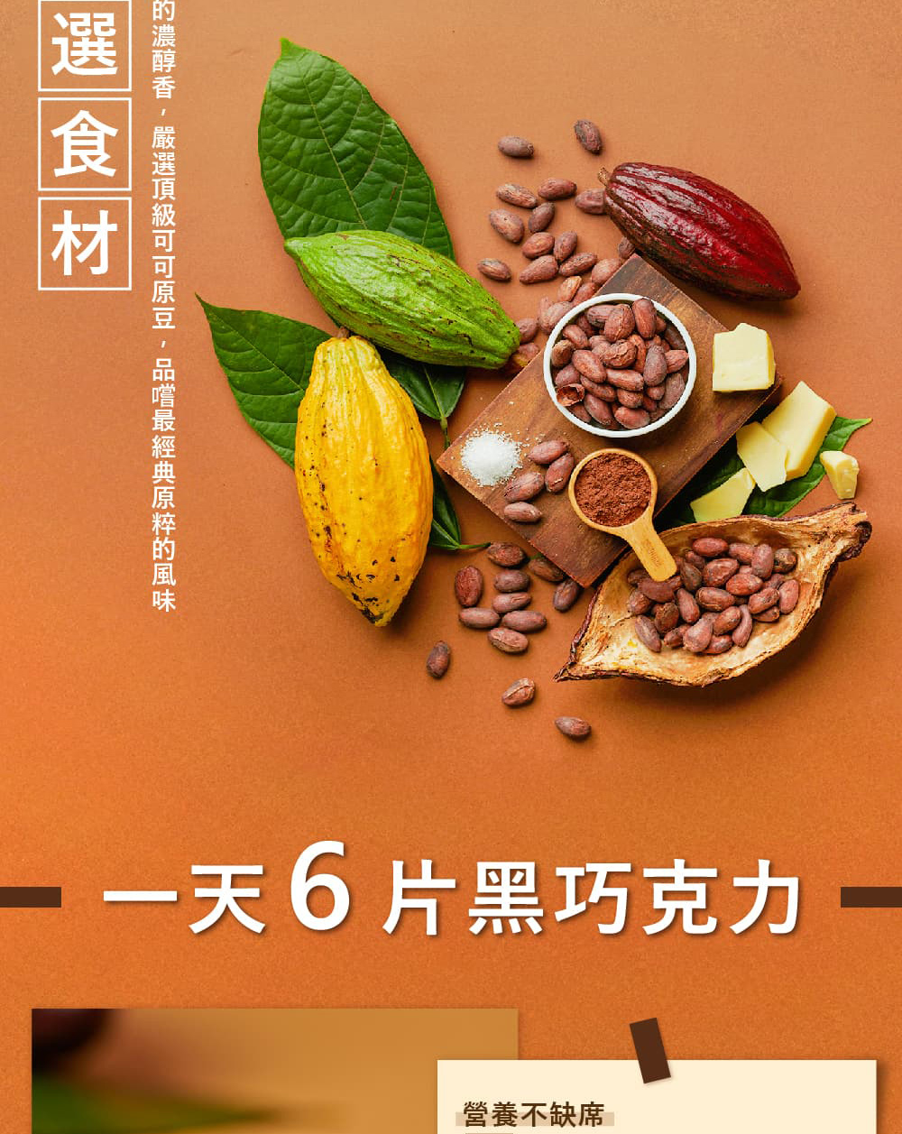 . 一天 6片黑巧克力 營養不缺席 的濃醇香 , 嚴選頂級可可原豆  品嚐最經典原粹的風味 