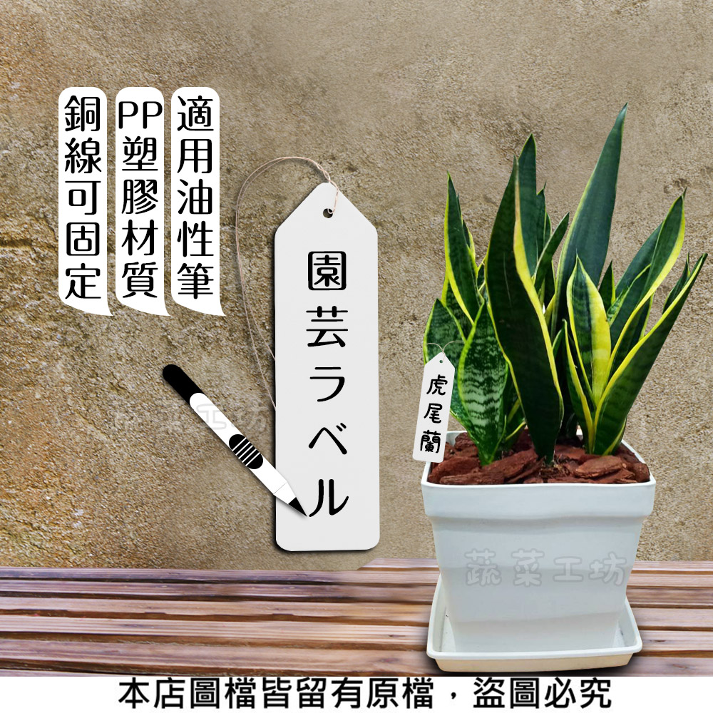 本店圖檔皆留有原檔,盜圖必究