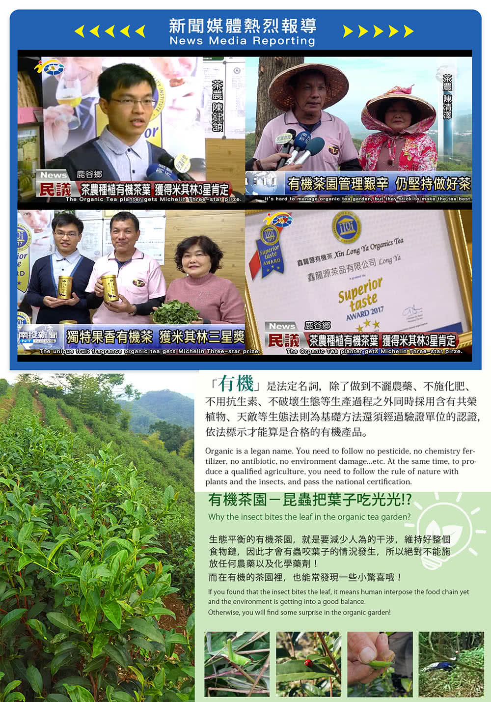 直龍源有機茶 Xin Long Ya Organics Tea