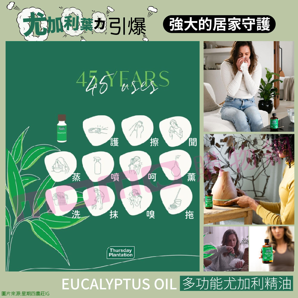 尤加利票引爆強大的居家守護 EUCALYPTUSOIL 多功能尤加利精油 圖片來源星期四農莊IG 