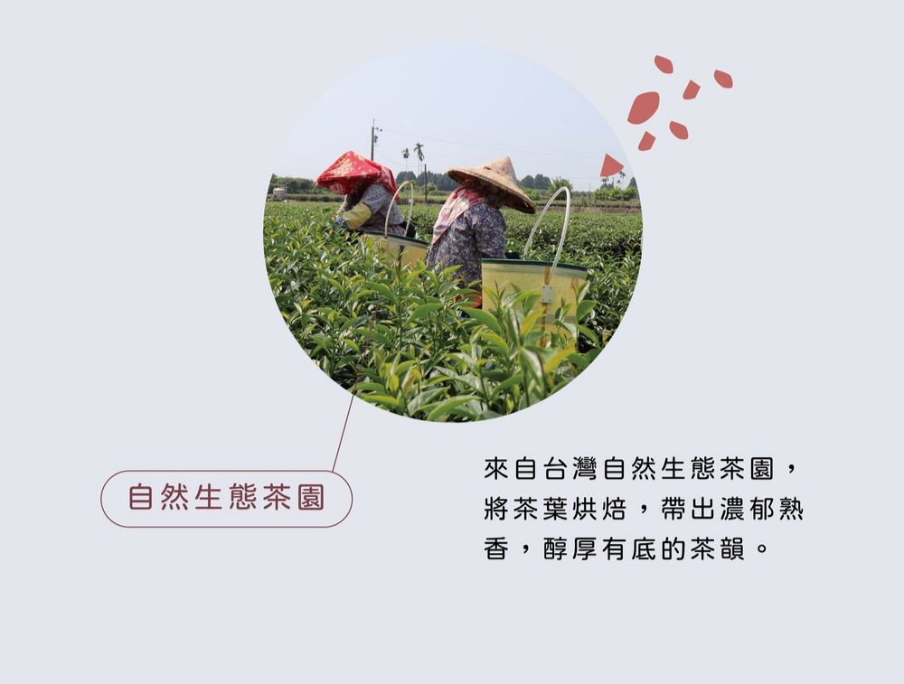 ä¾èªå°ç£èªç¶çæè¶å, å°è¶èçç,å¸¶åºæ¿éç é¦,éåæåºçè¶é»ã èªç¶çæè¶å 