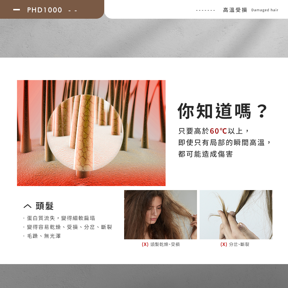 高溫受損 Damaged hair