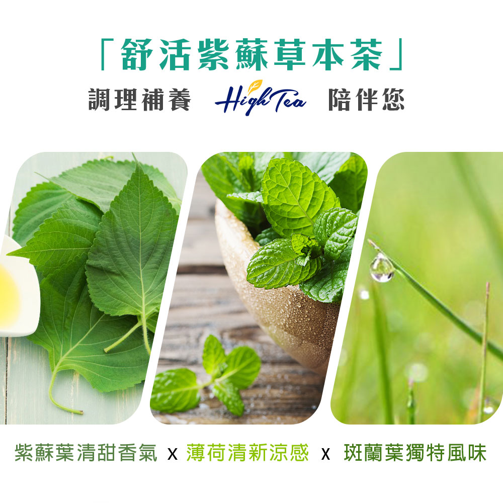 舒活紫蘇草本茶 調理補養 High Tea 陪伴您 紫蘇葉清甜香氣 X 薄荷清新涼感 X 斑蘭葉獨特風味 
