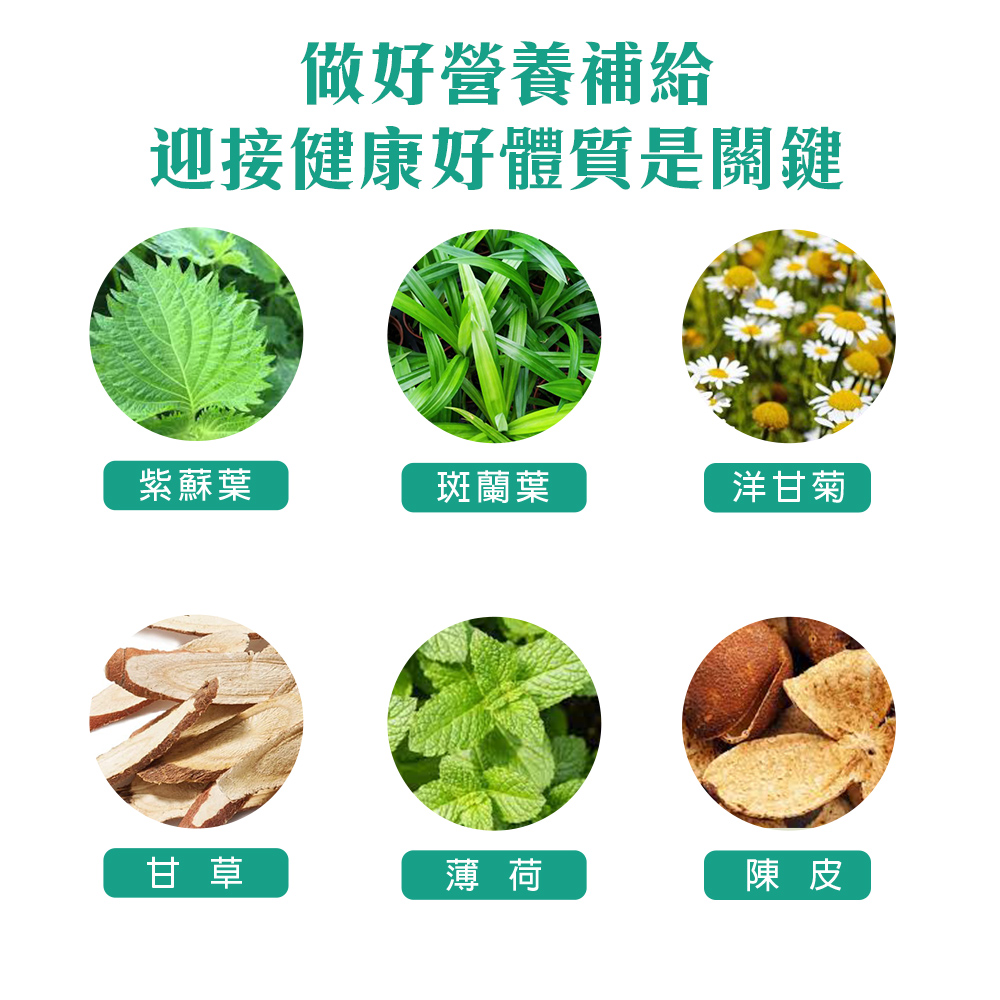 迎接健康好體質是關鍵