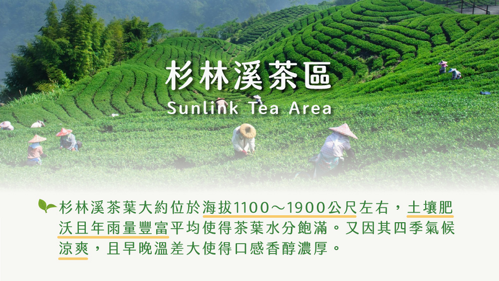 杉林溪茶區 杉林溪茶葉大約位於海拔11001900公尺左右,土壤肥 沃且年雨量豐富平均使得茶葉水分飽滿。又因其四季氣候 涼爽,且早晚溫差大使得口感香醇濃厚。 