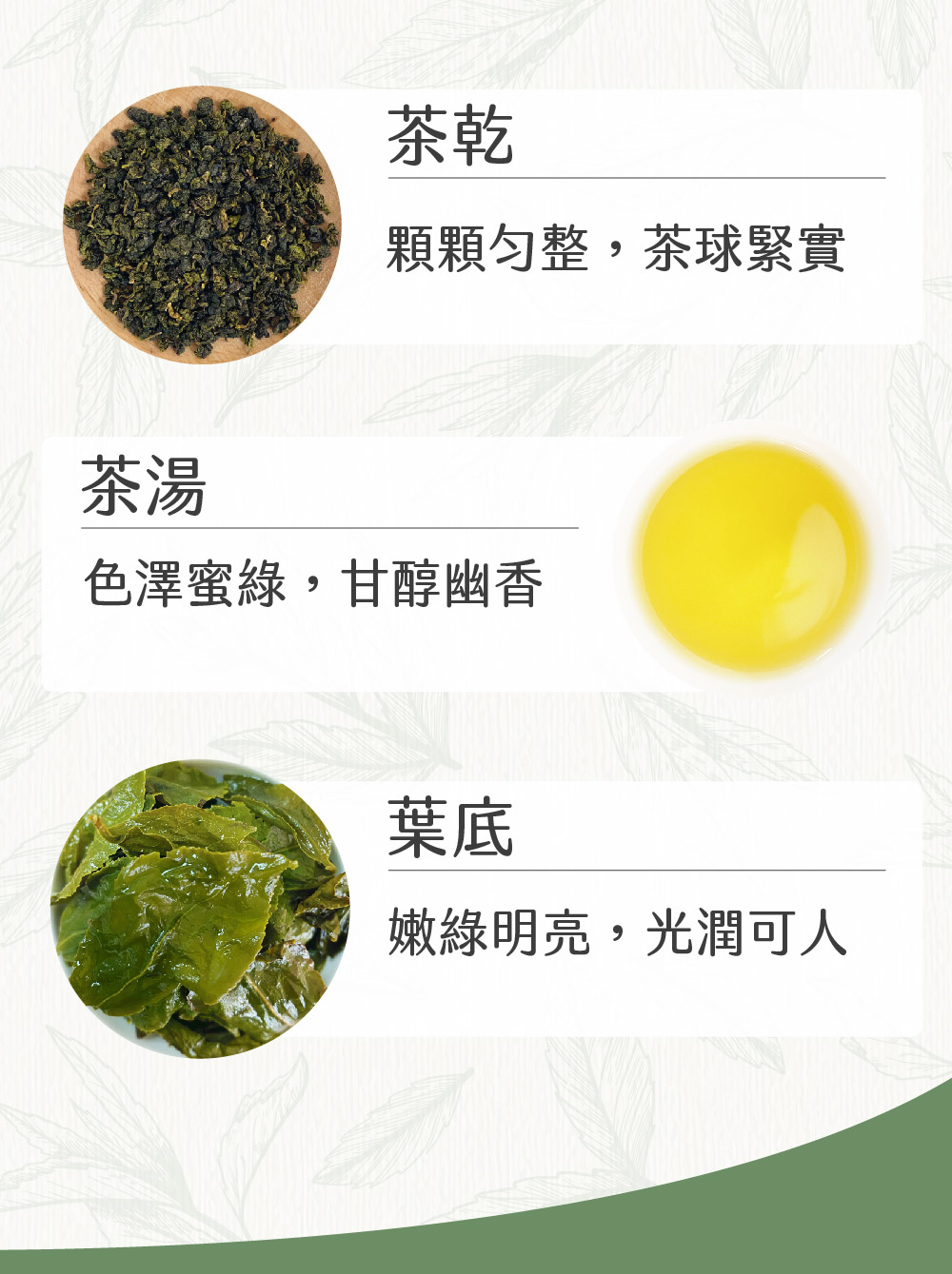 顆顆勻整,茶球緊實