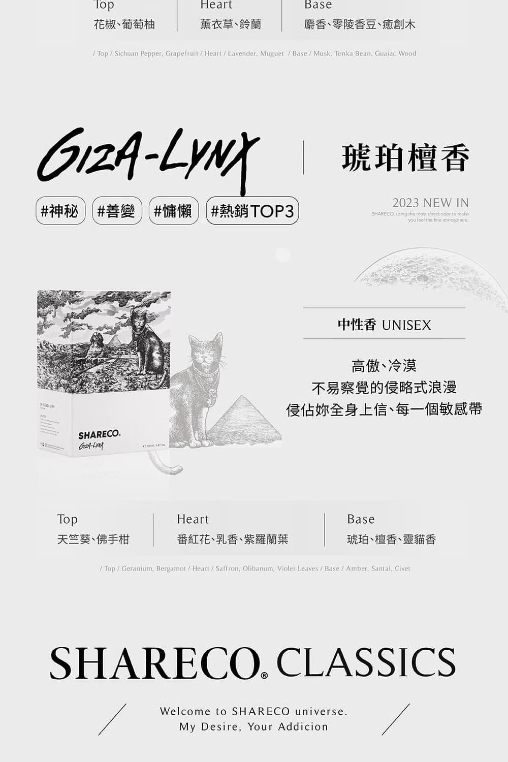 ç¥ç§ åè® æµæ¶ç±é·TOP3