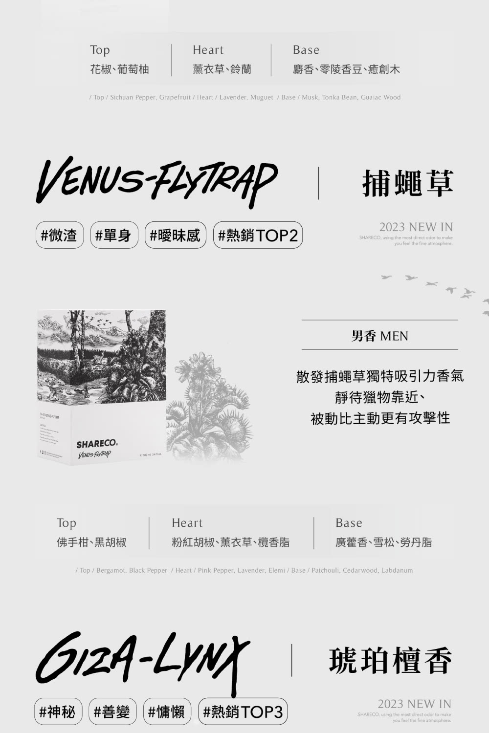 VENUSFLYTRAP 捕蠅草