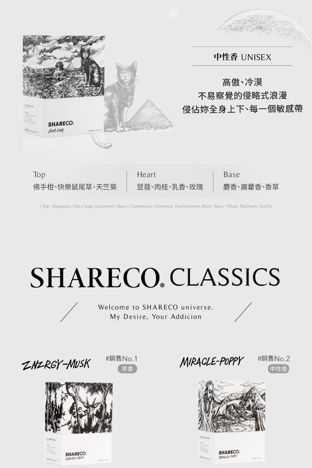 侵佔你全身上下,每一個敏感帶