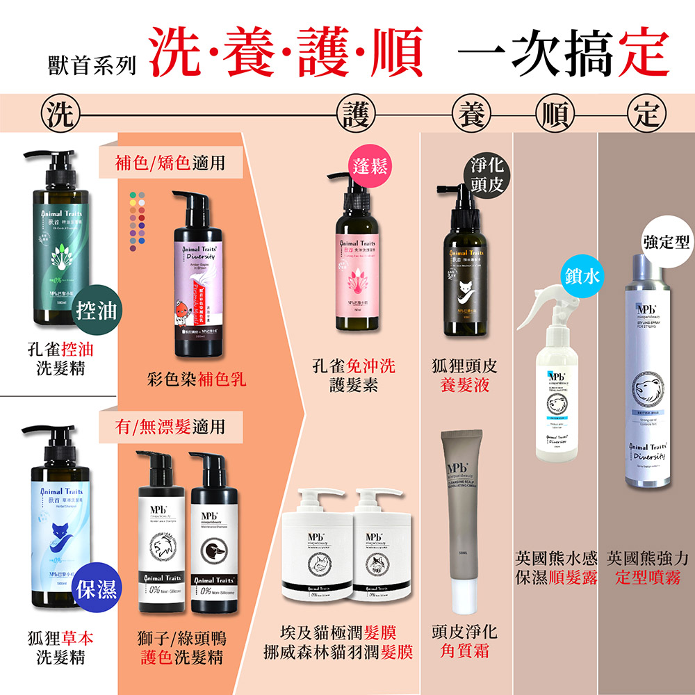 配姓系列 洗養護順 一次搞定