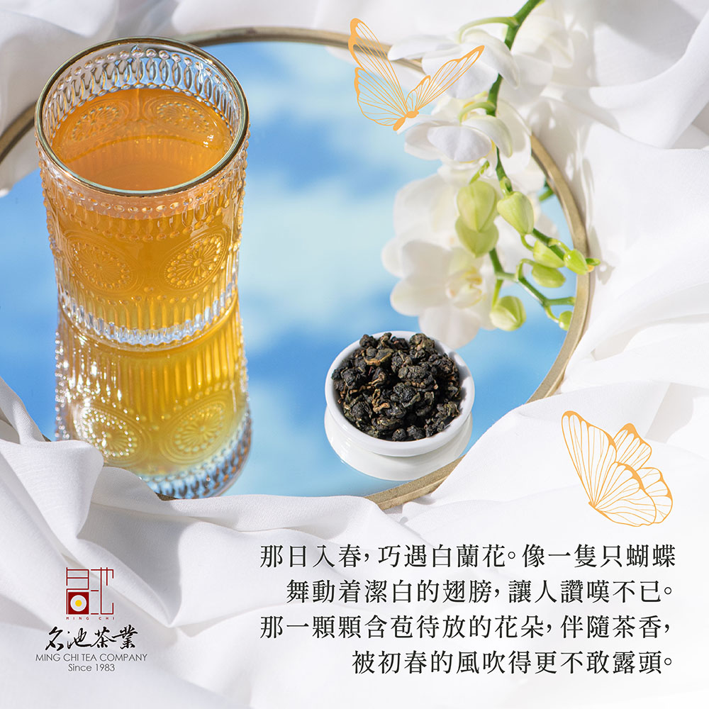 名池茶業 那日入春,巧遇白蘭花。像一隻只蝴蝶 舞動着潔白的翅膀,讓人讚嘆不已。 那一顆顆含苞待放的花朵,伴隨茶香, 被初春的風吹得更不敢露頭。 