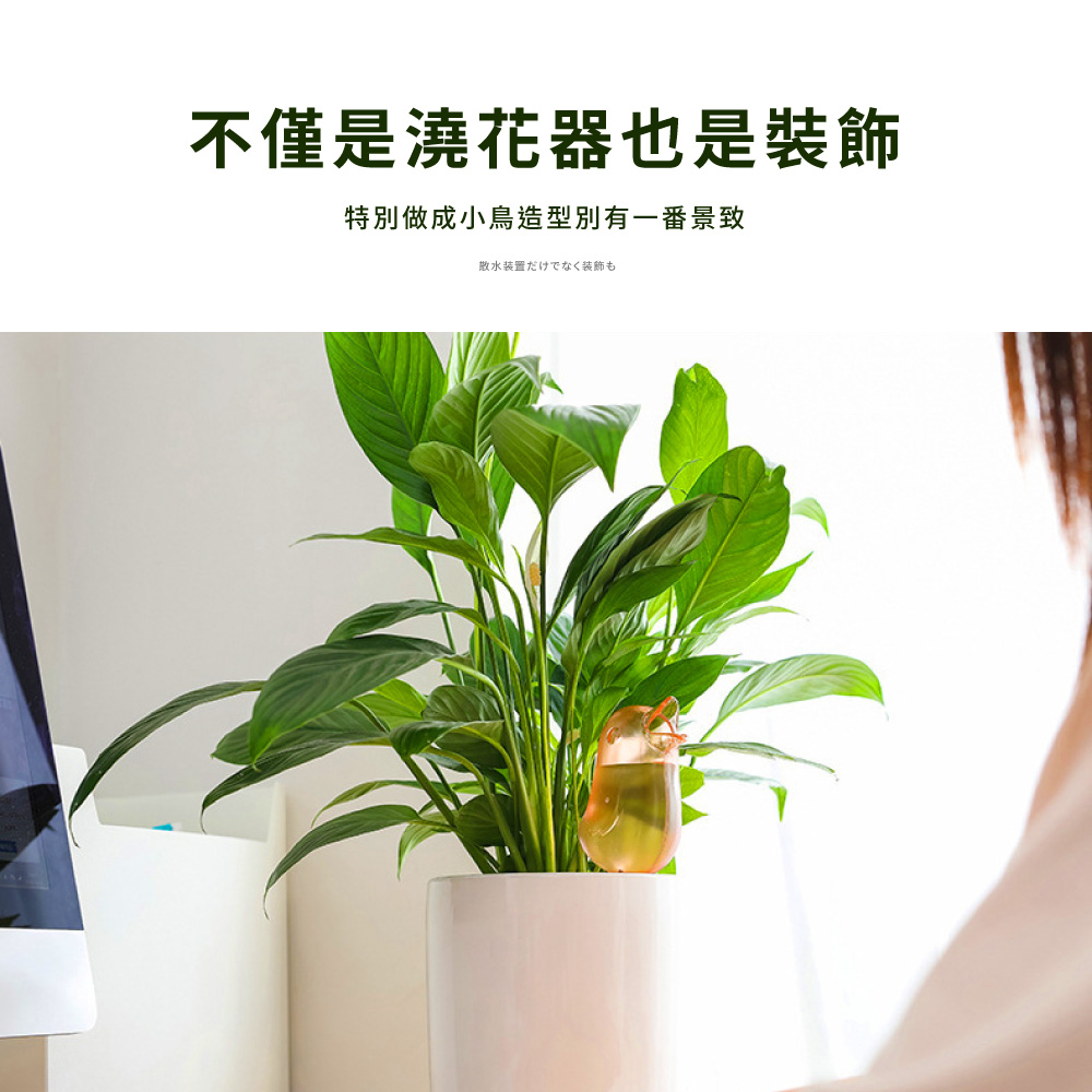 ä¸åæ¯æ¾è±å¨ä¹æ¯è£é£¾ ç¹å¥åæå°é³¥é åå¥æä¸çªæ¯è´ æ£æ°´è£ç½®è£é£¾ 